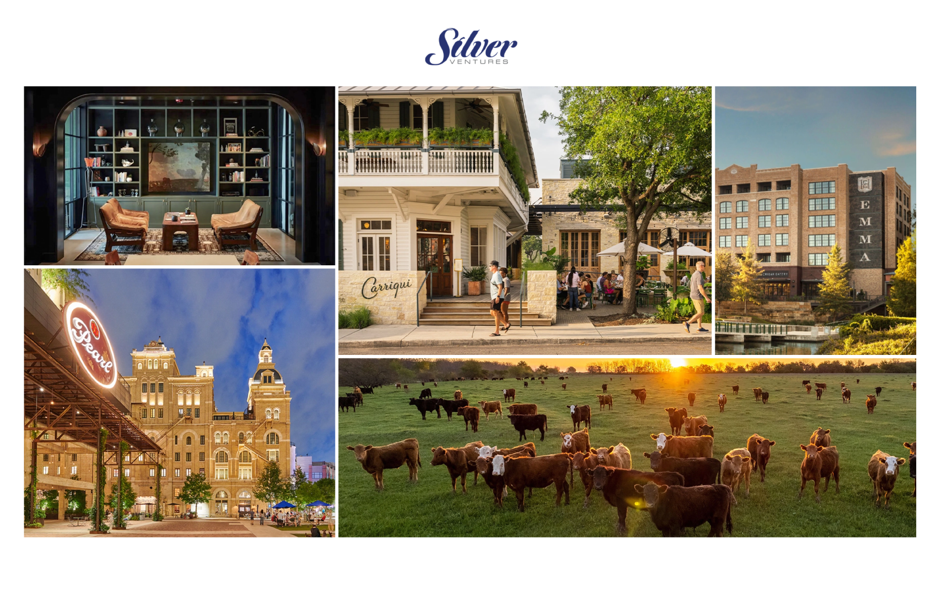 Silver Ventures | Nourishing the Next | Venture Capital Growth Equity