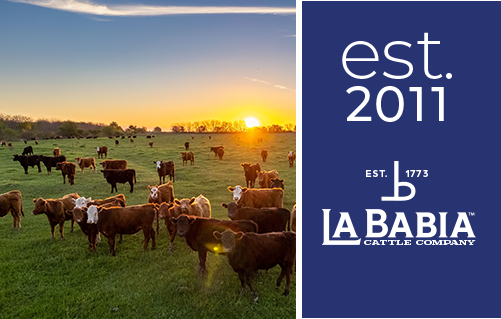 La Babia Cattle Company